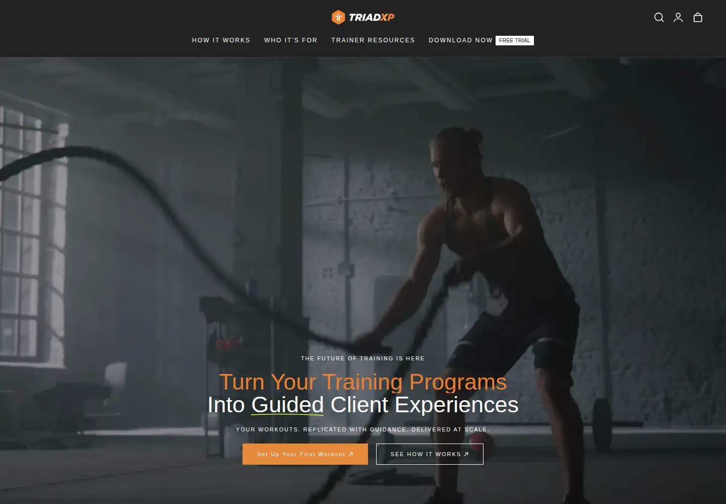 Screenshot of triadxp.com
