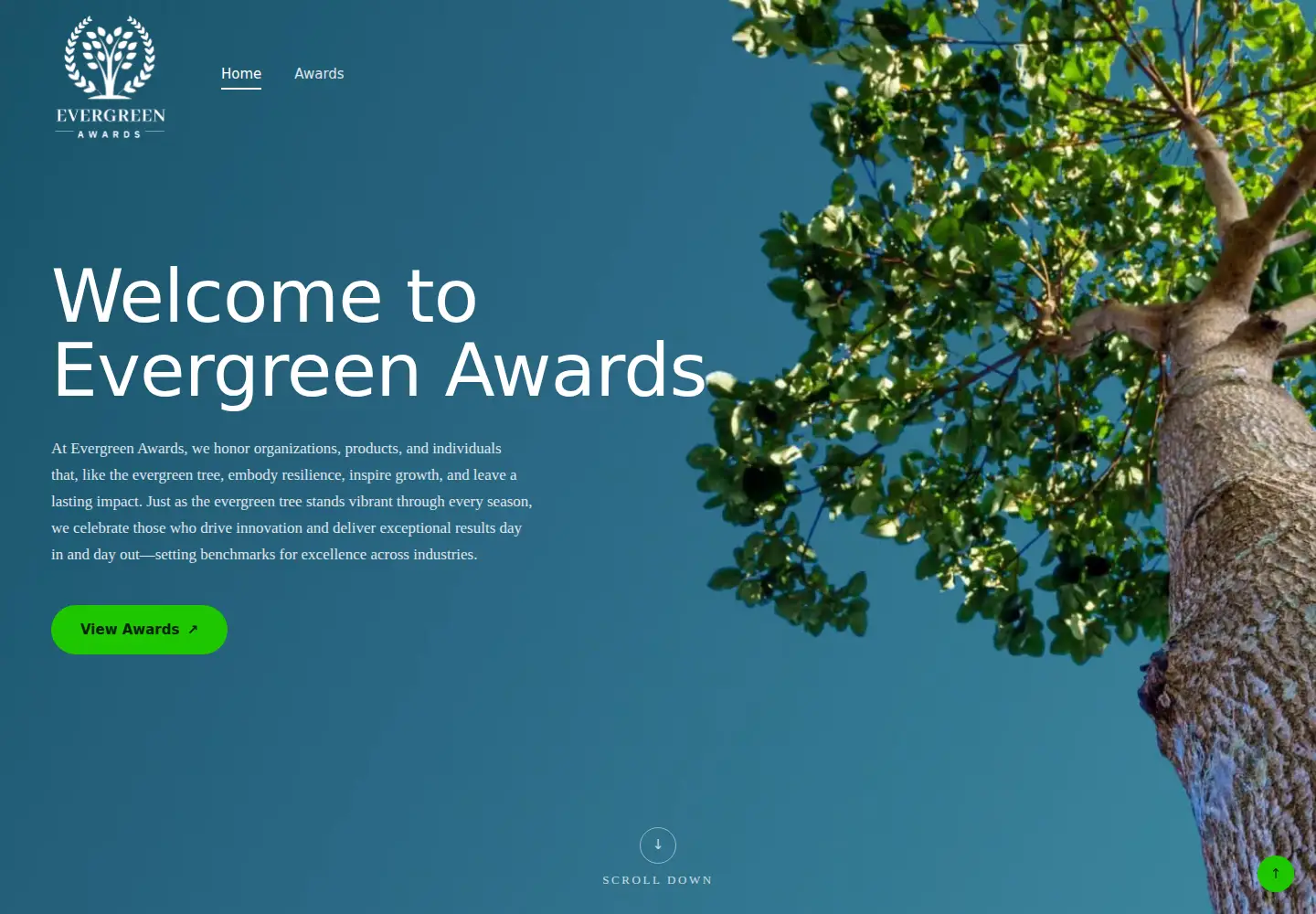 Screenshot of evergreenawards.com