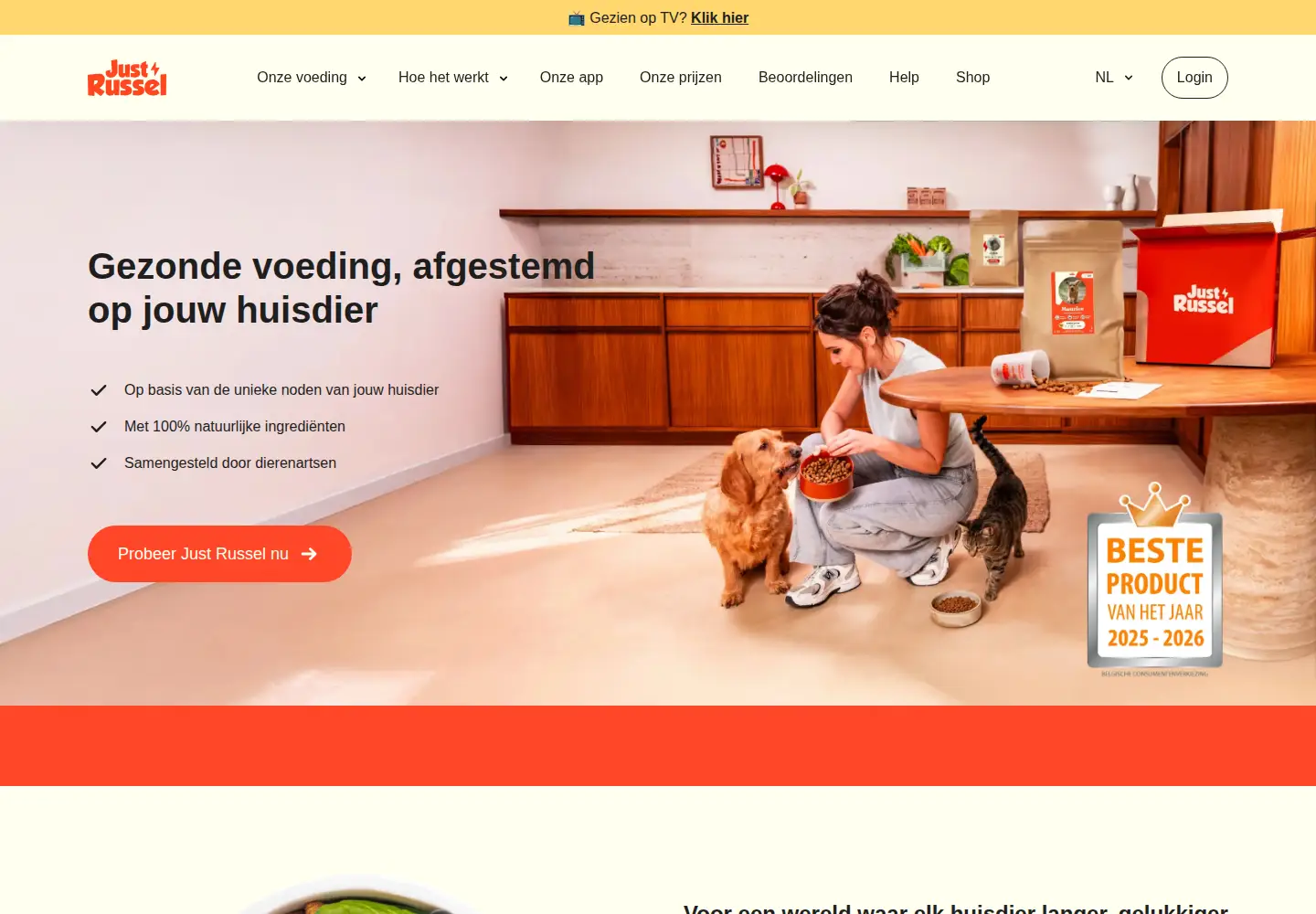 Screenshot of justrussel.com