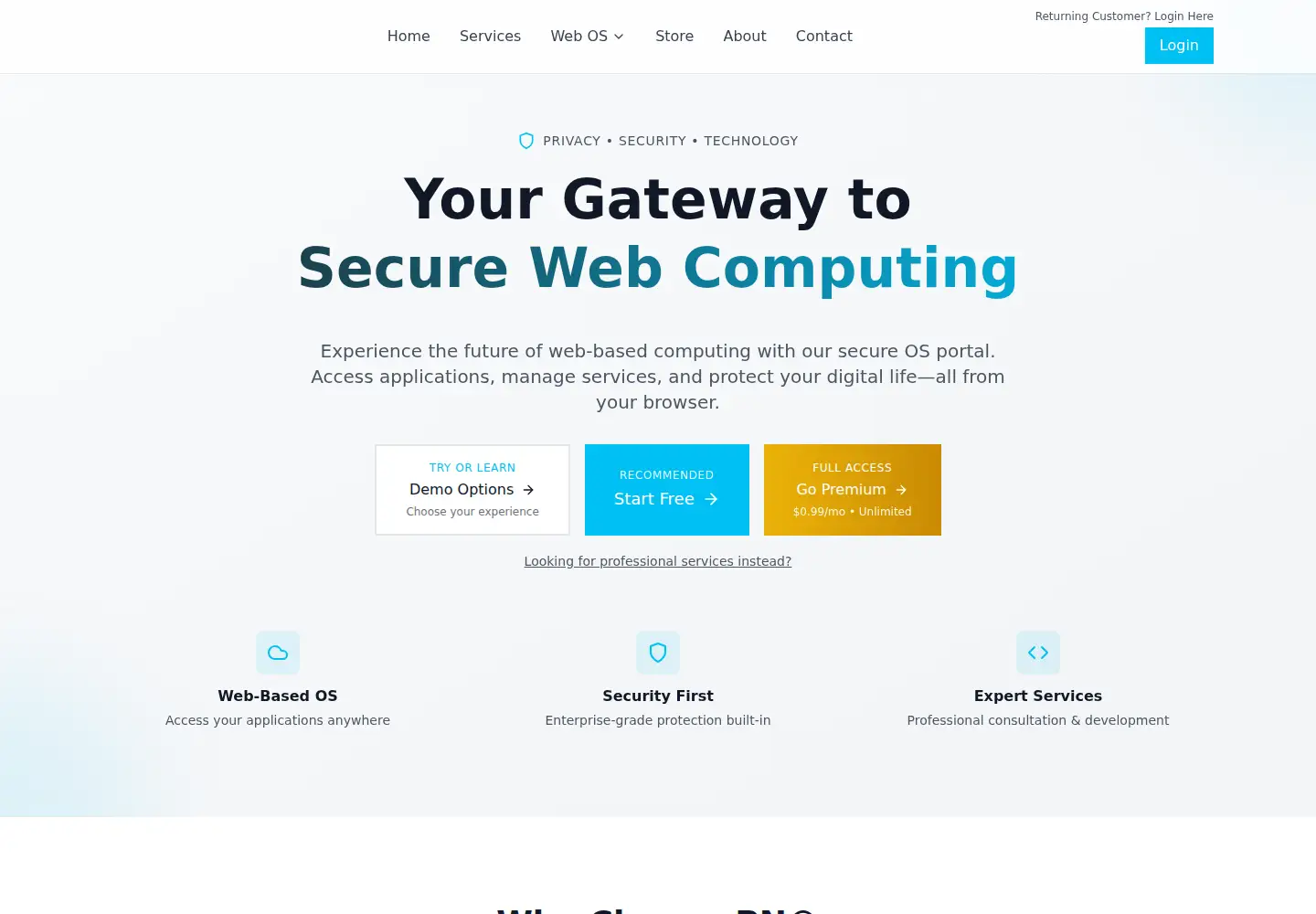 Screenshot of pn.com