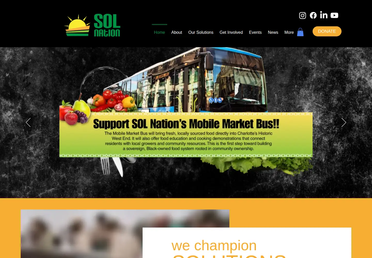 Screenshot of solnation.org