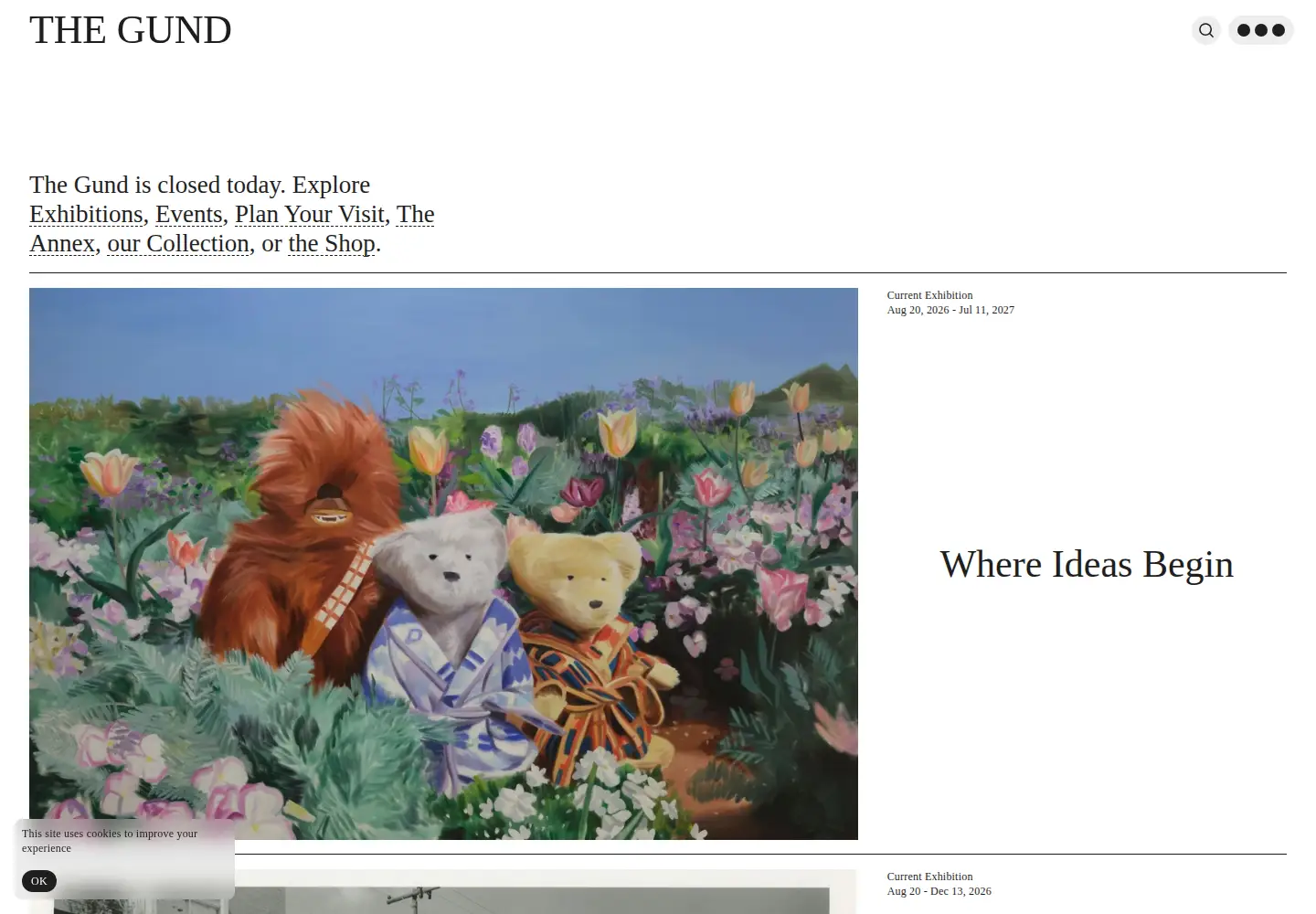 Screenshot of thegund.org