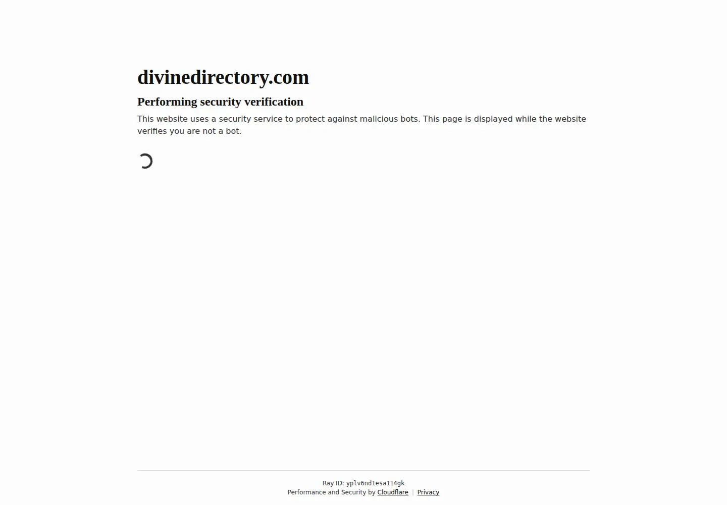Captured homepage of divinedirectory.com in the current scan