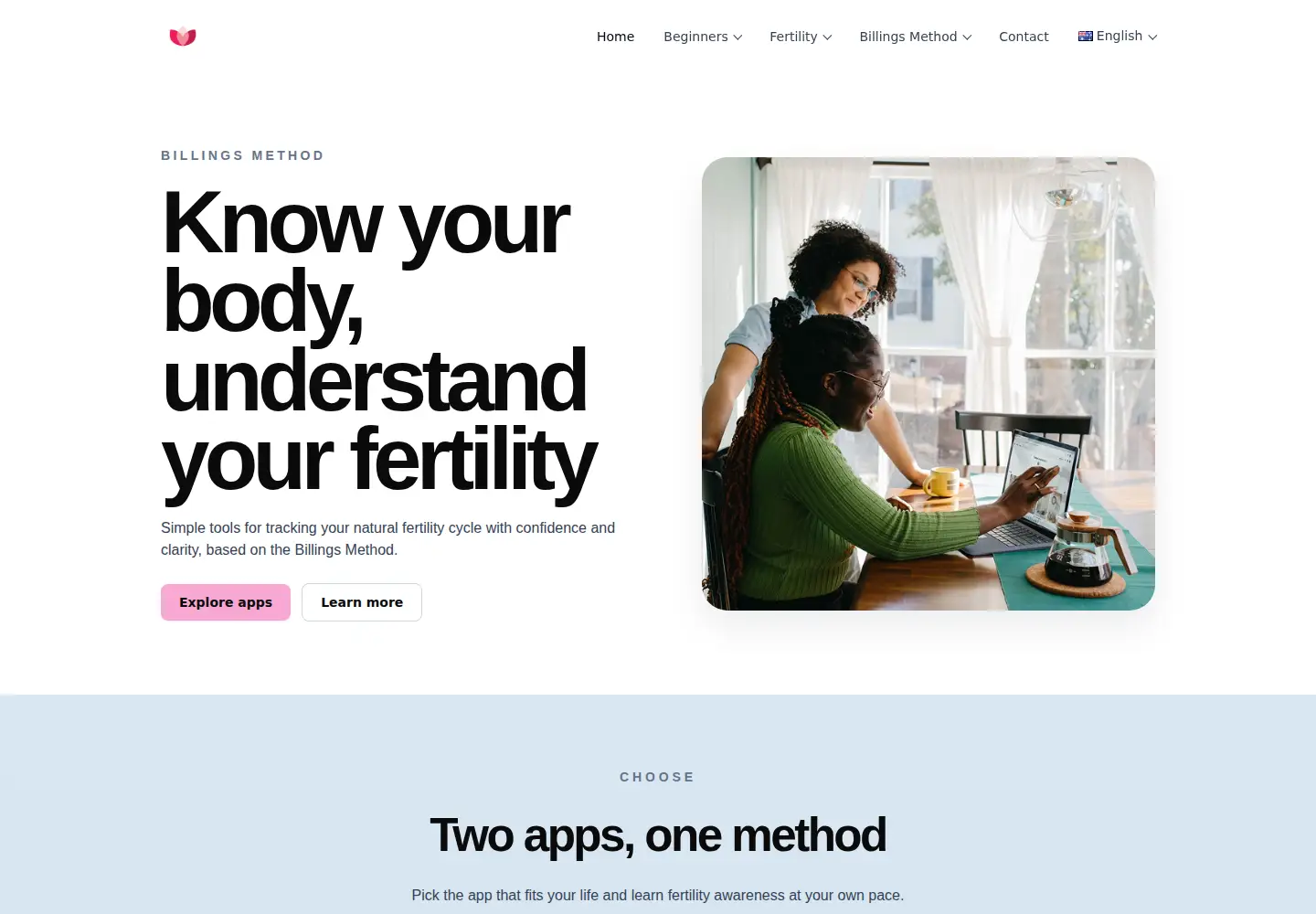 Screenshot of billingsmentor.org