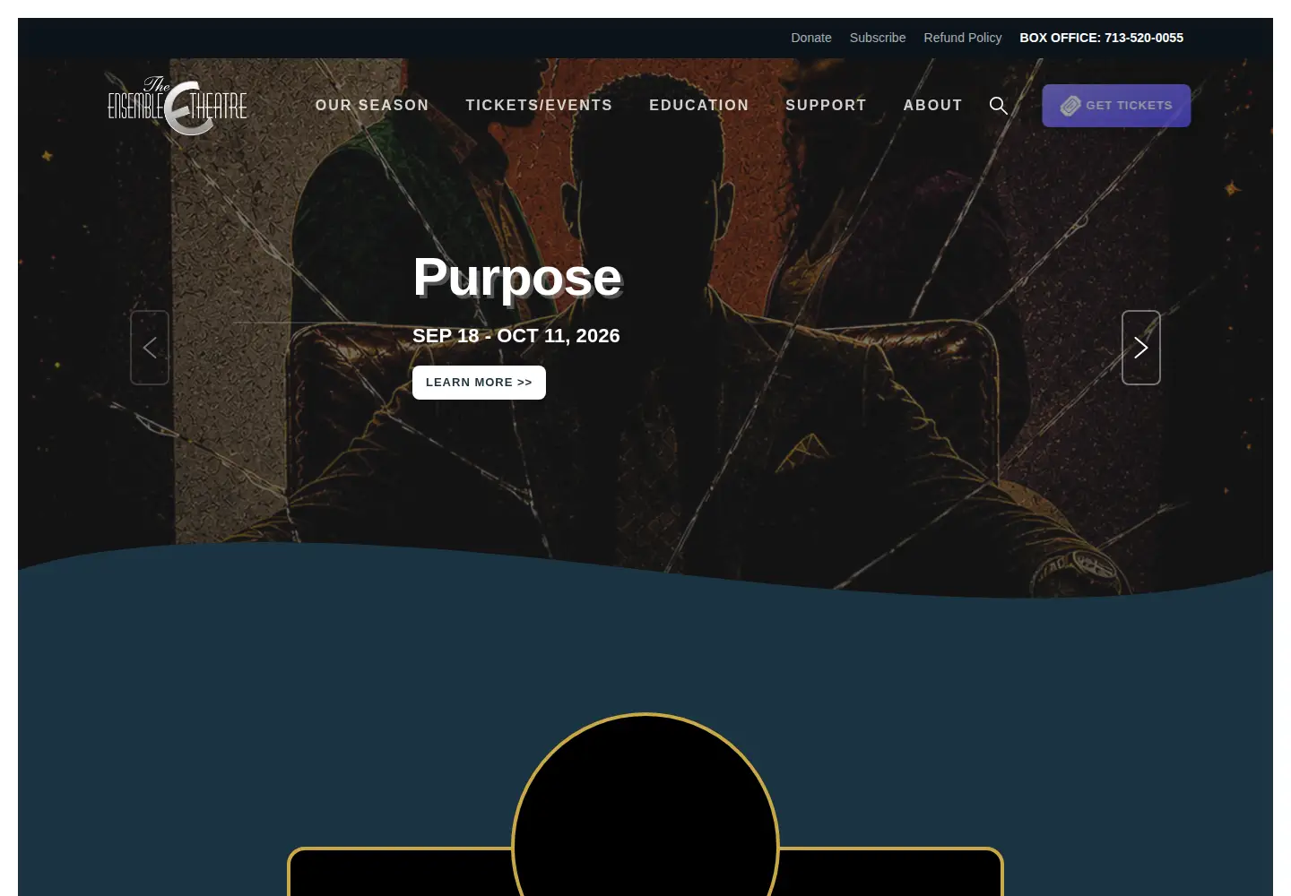Screenshot of ensemblehouston.com