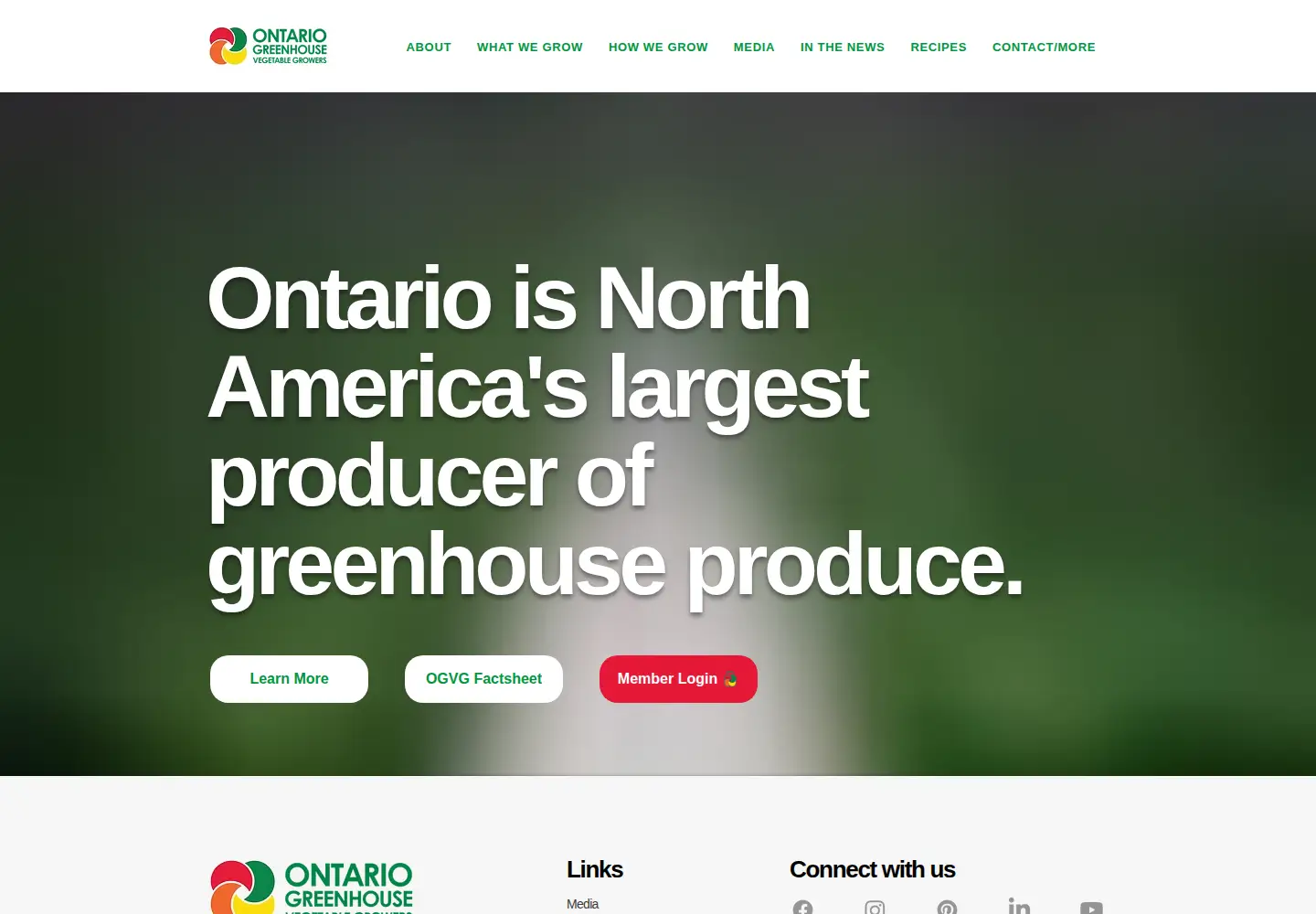 Screenshot of ogvg.com