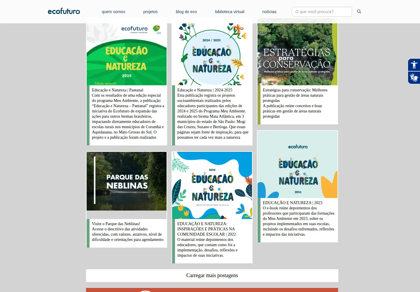 Screenshot of ecofuturo.org.br