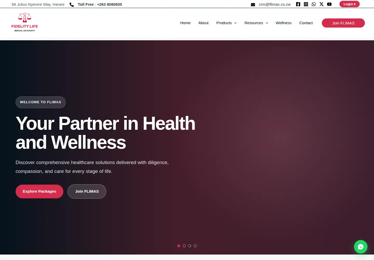 Screenshot of flimas.co.zw