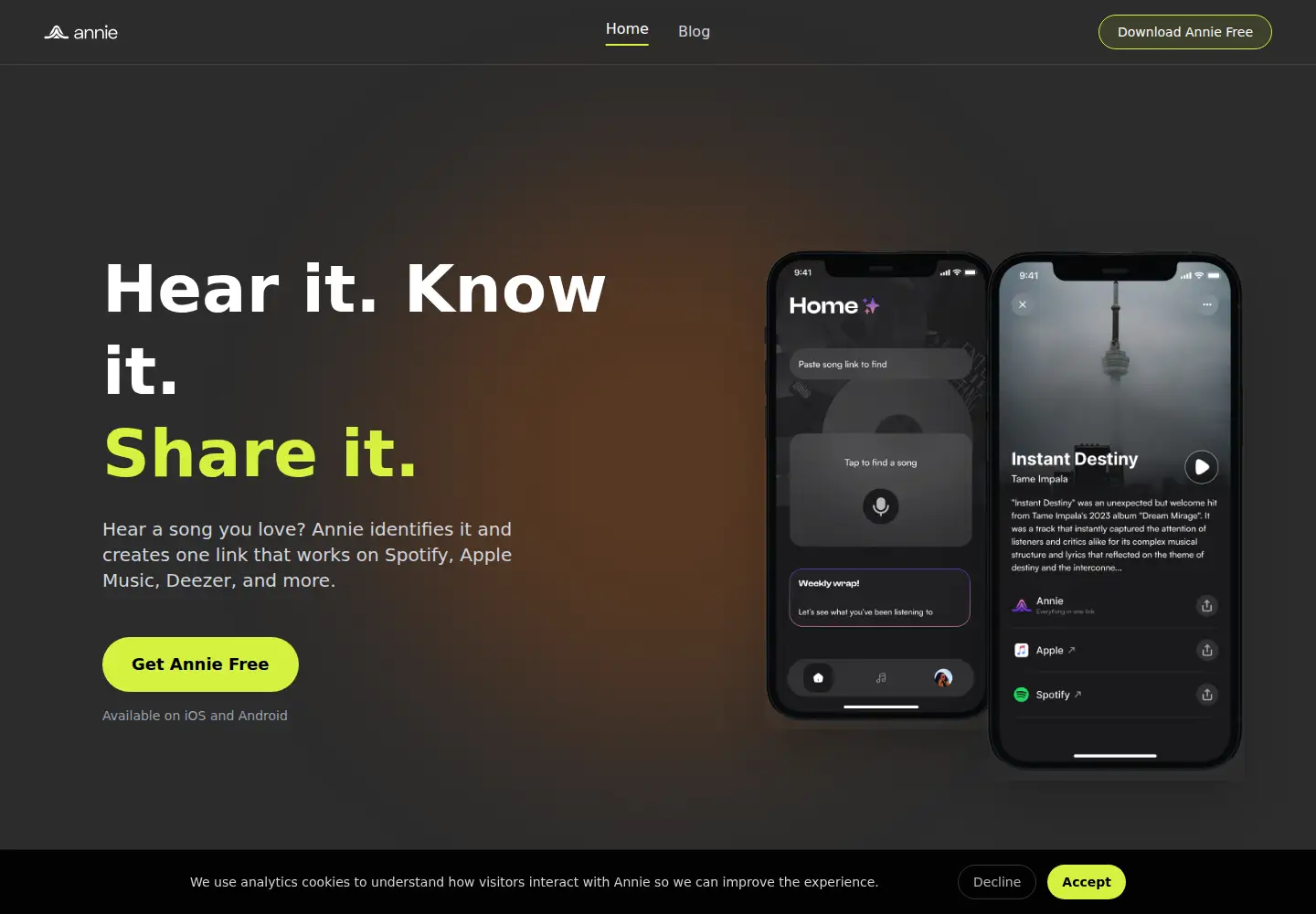Captured homepage of anniemusic.app in the current scan