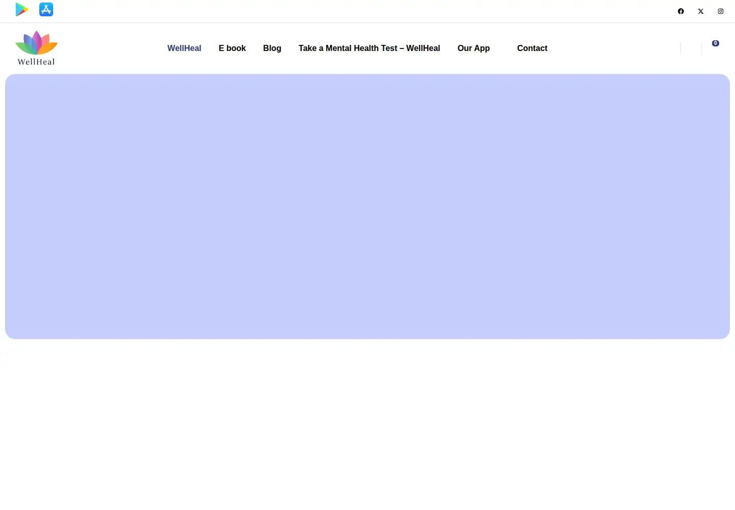 Captured homepage of wellheal.app in the current scan