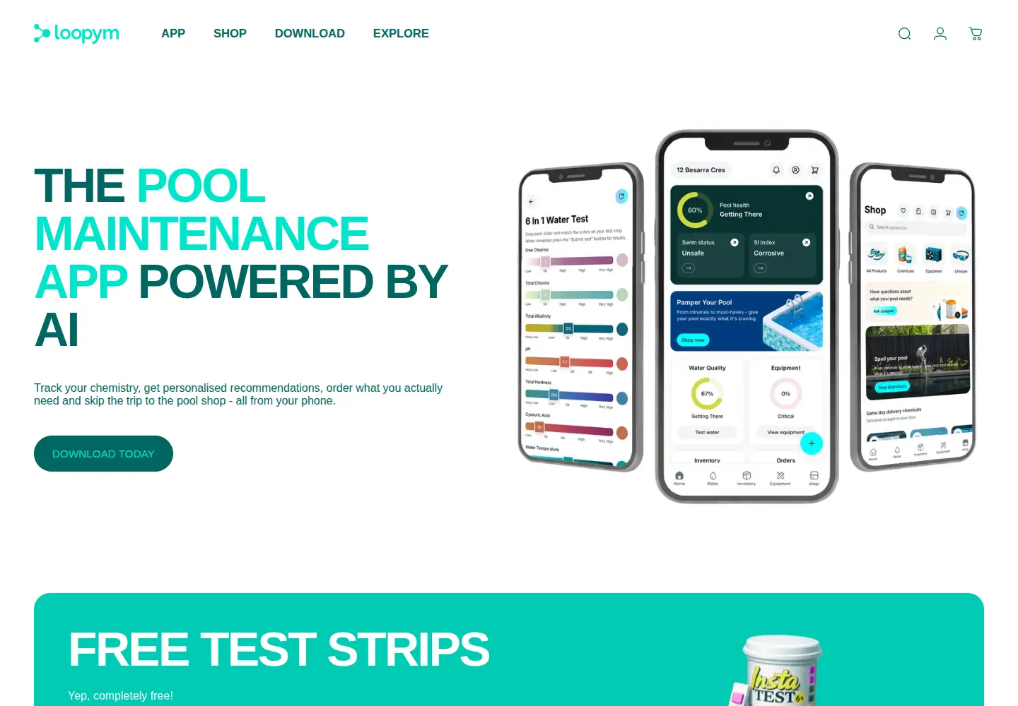 Captured homepage of loopym.com.au in the current scan