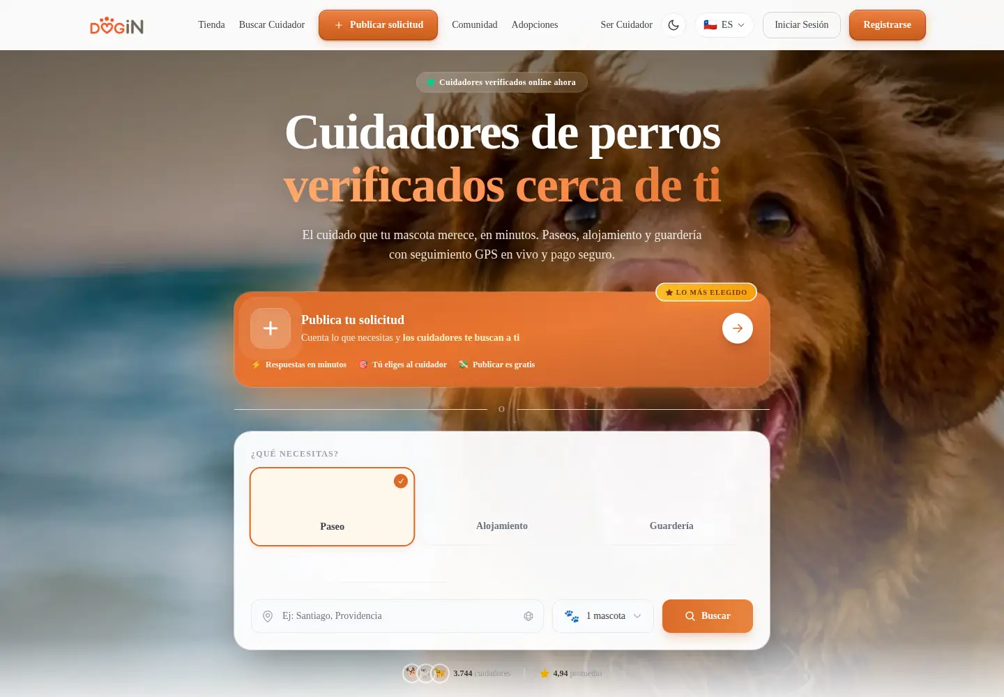 Screenshot of dogin.cl