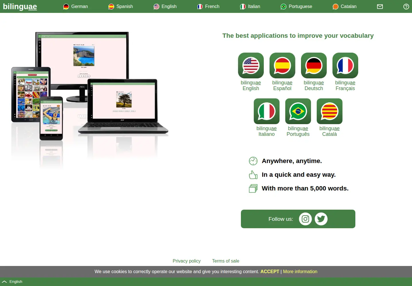Captured homepage of bilinguae.com in the current scan