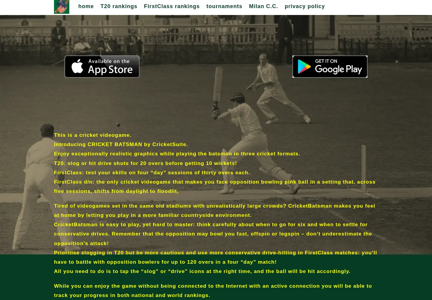 Screenshot of cricketsuite.com