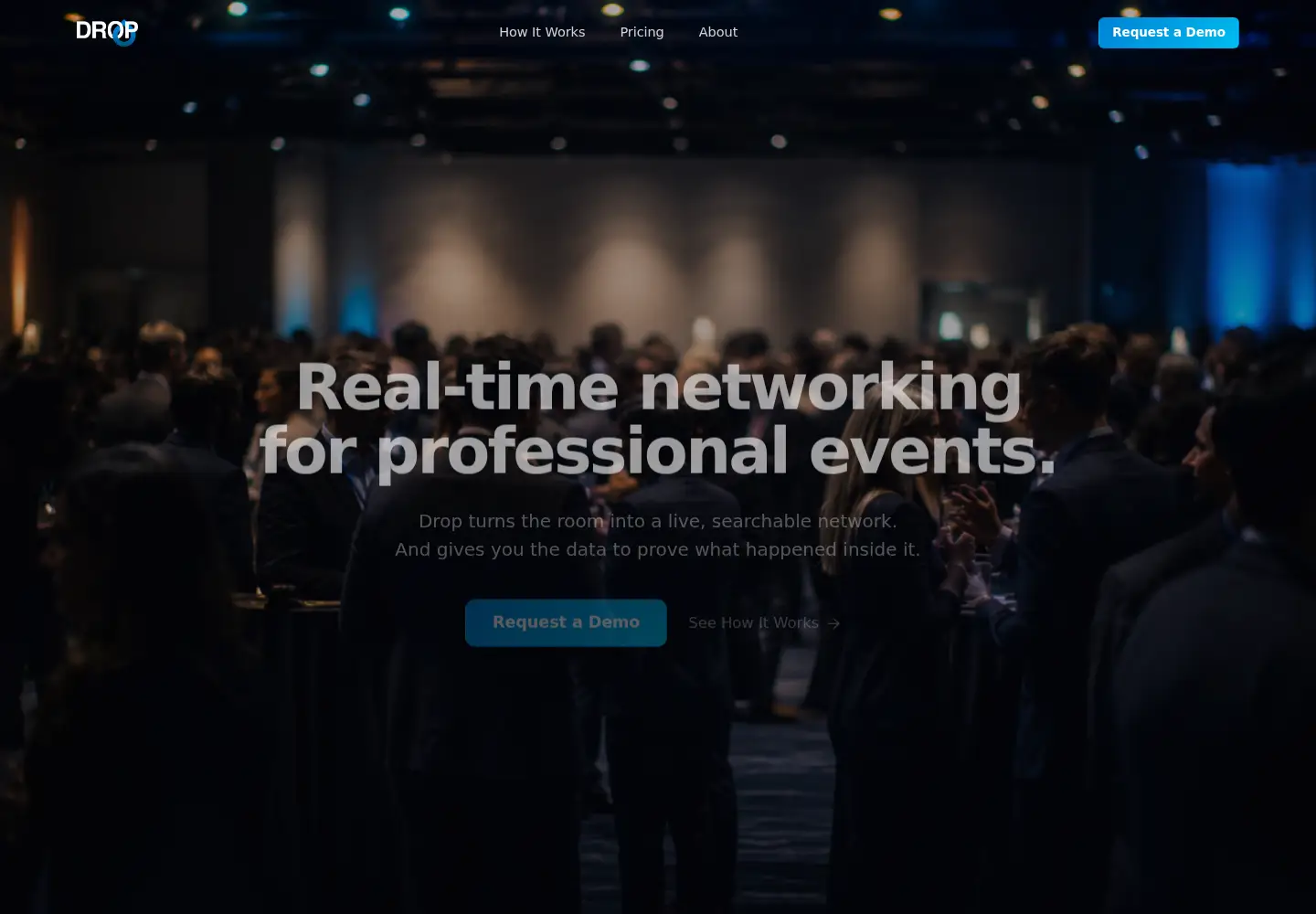 Screenshot of dropprofessionals.com