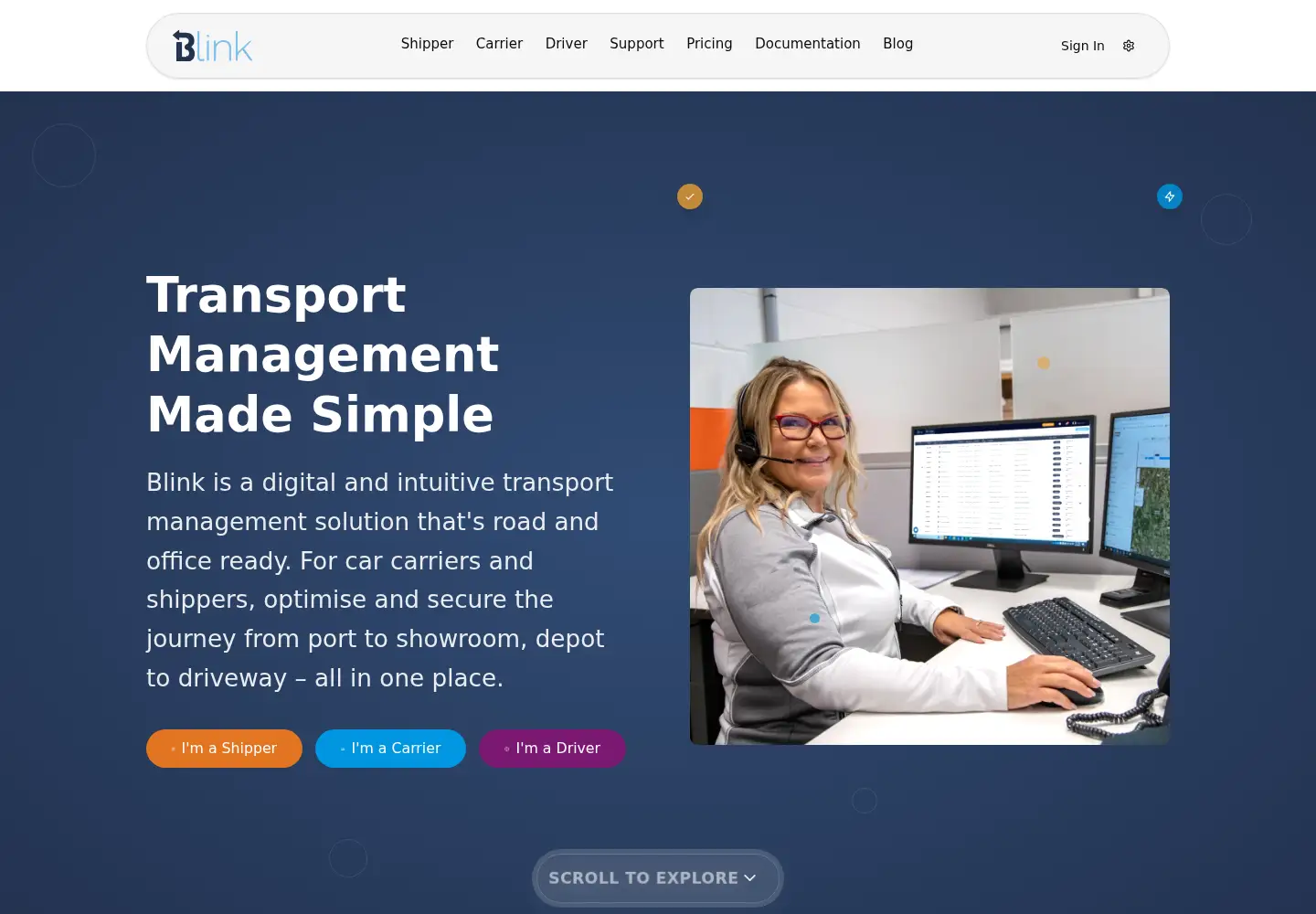 Screenshot of gotoblink.com