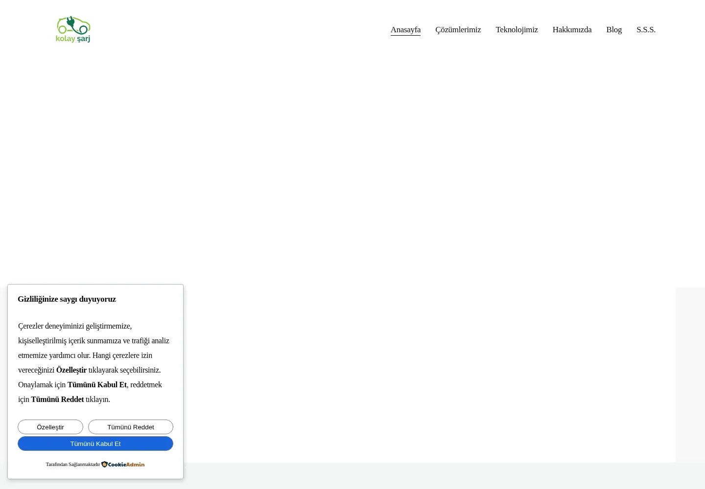 Screenshot of kolaysarj.com