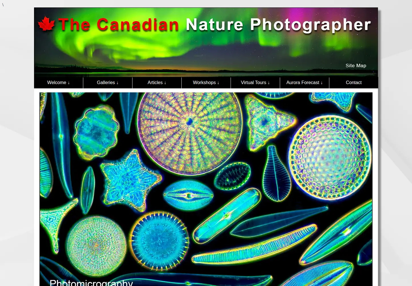 Captured homepage of canadiannaturephotographer.com in the current scan