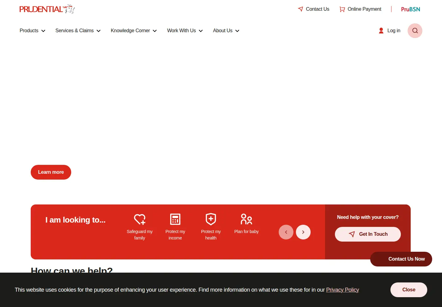 Screenshot of prudential.com.my