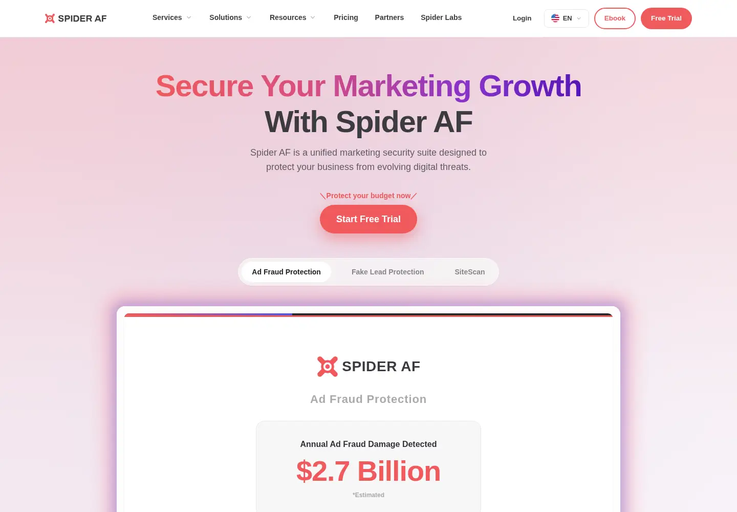 Captured homepage of spideraf.com in the current scan