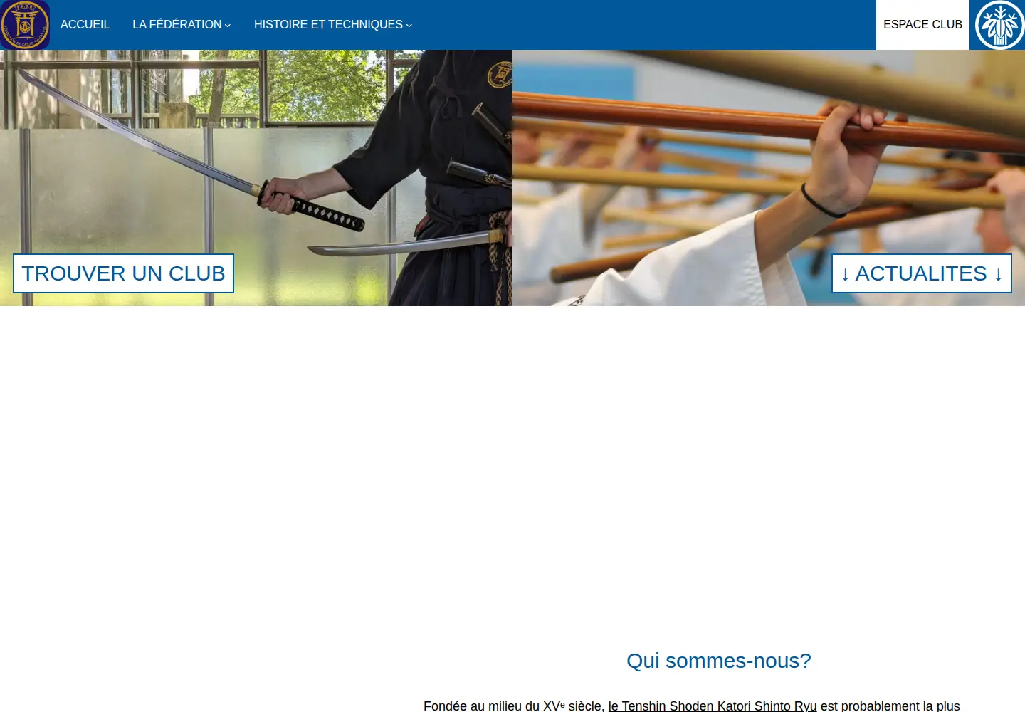 Screenshot of fksr.fr