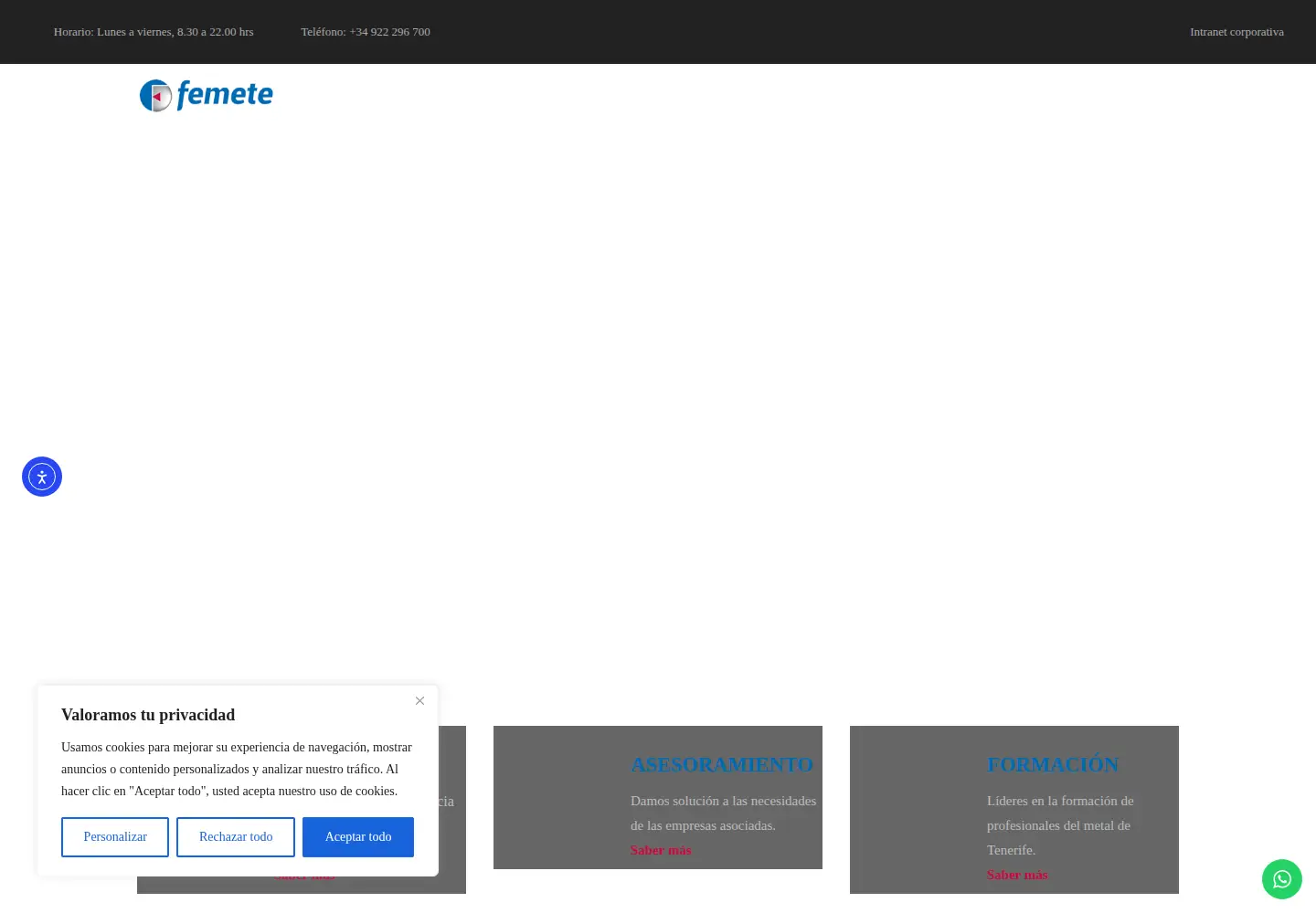 Captured homepage of femete.com.es in the current scan