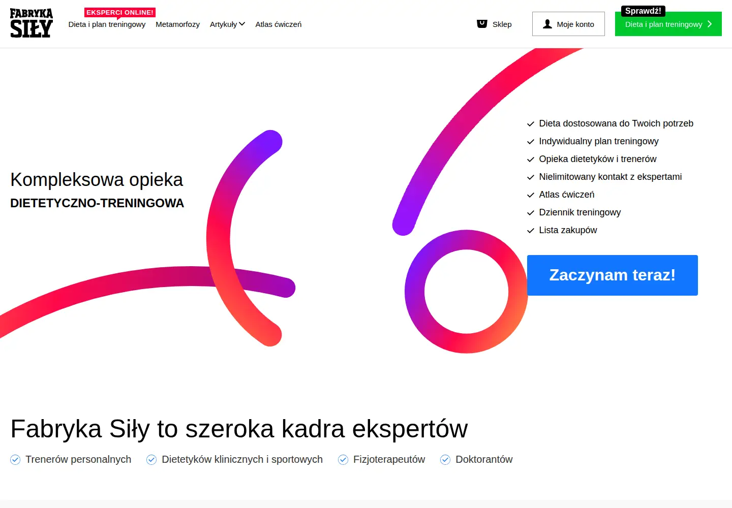 Screenshot of fabrykasily.pl