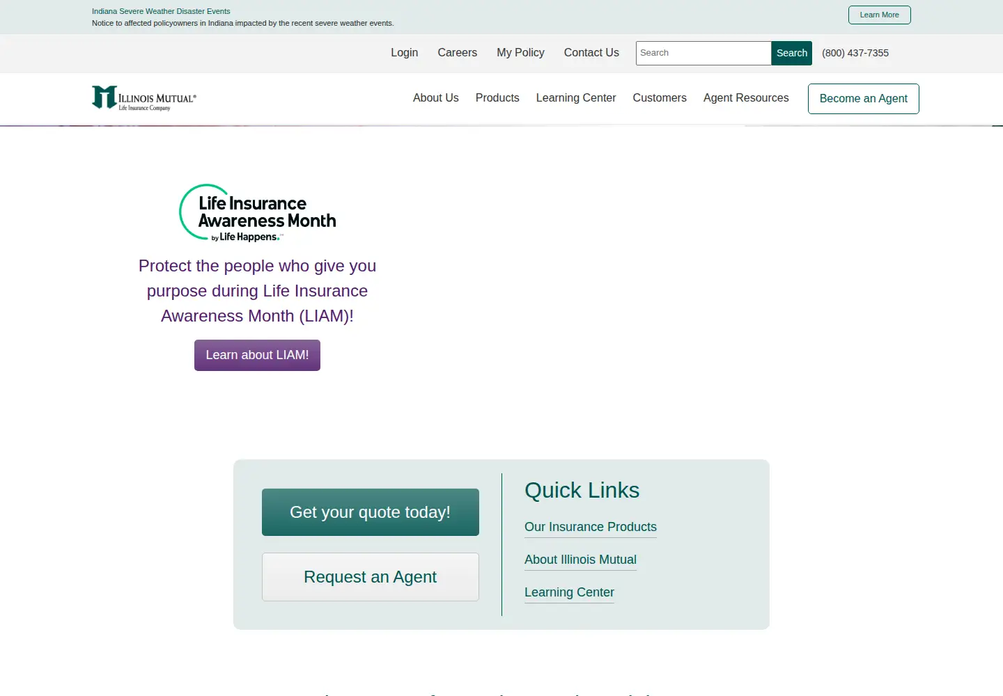 Captured homepage of illinoismutual.com in the current scan