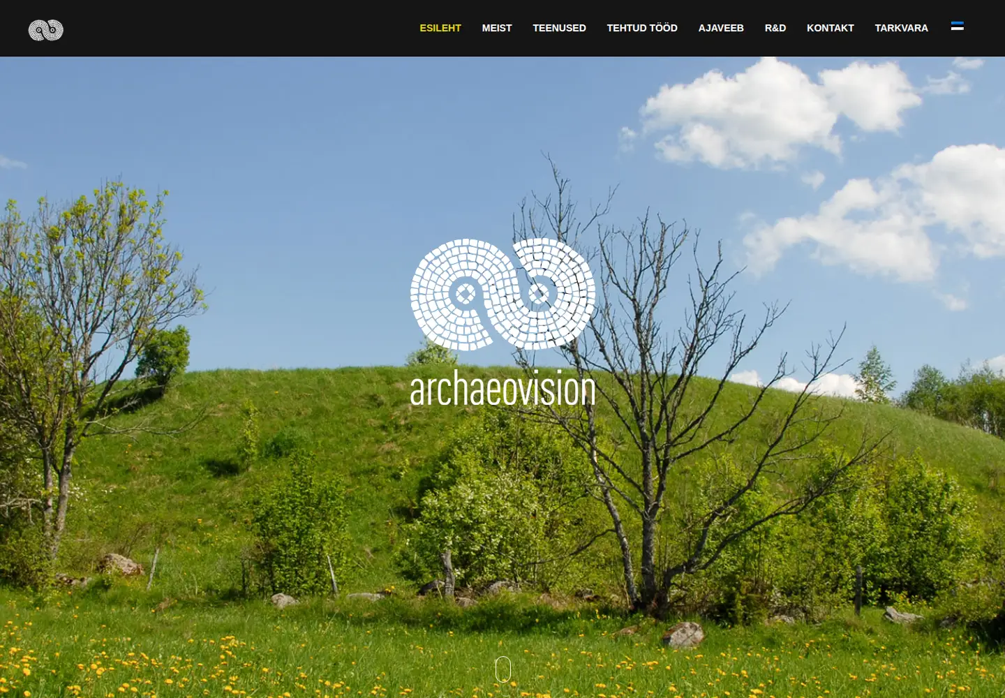 Screenshot of archaeovision.eu