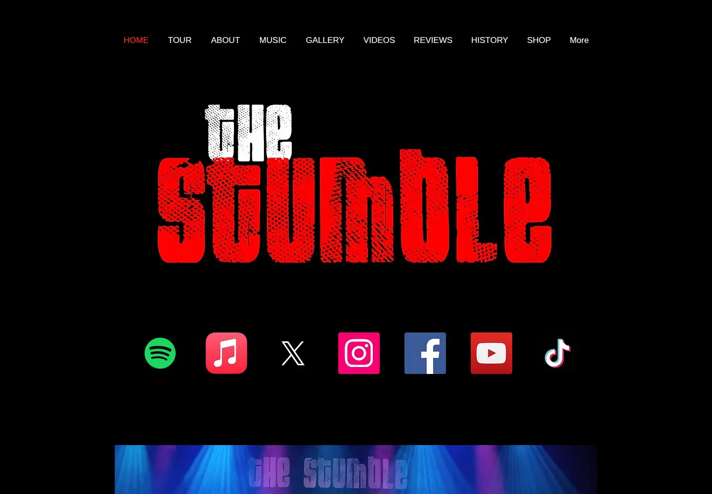 Captured homepage of thestumble.com in the current scan