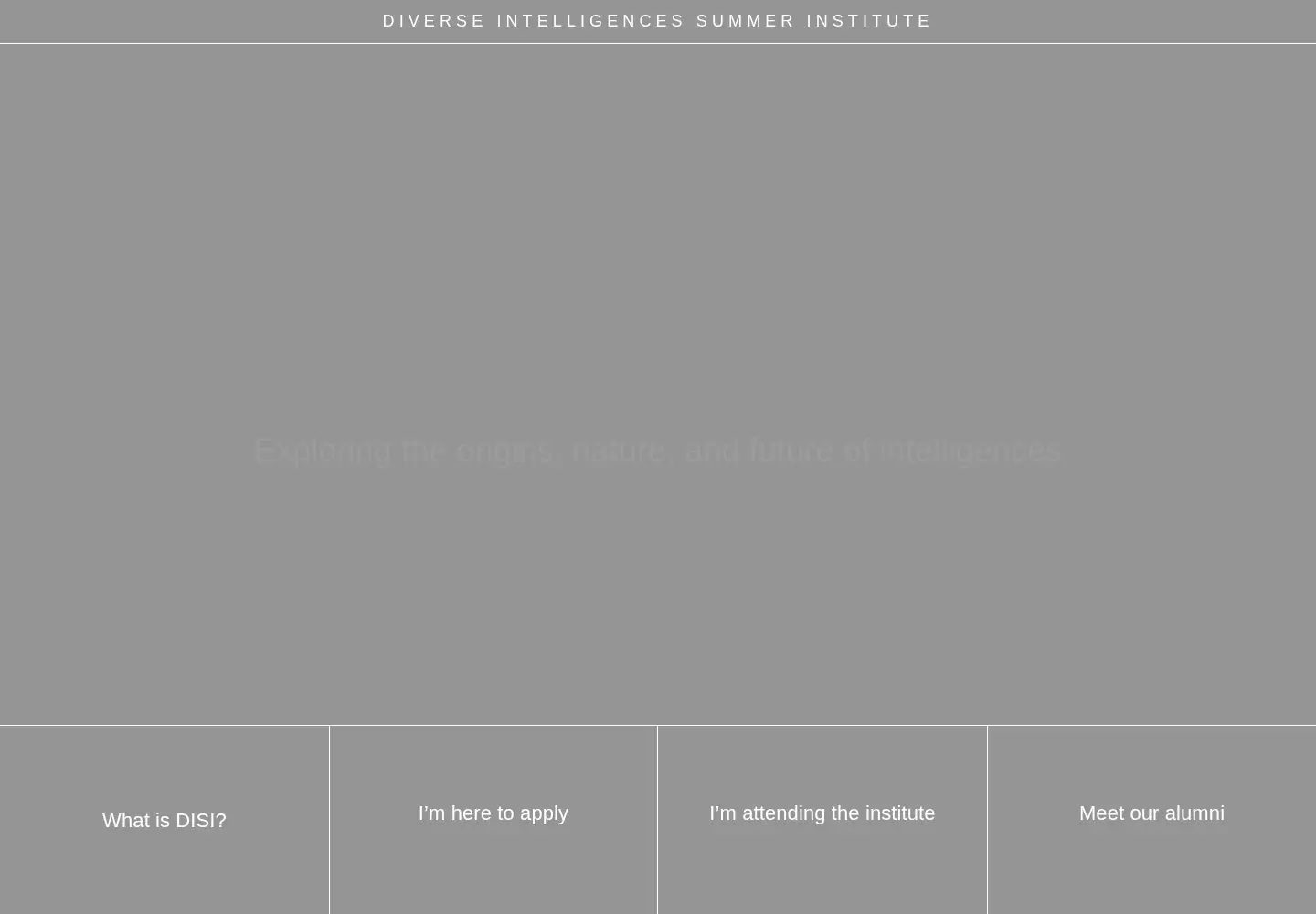 Screenshot of disi.org