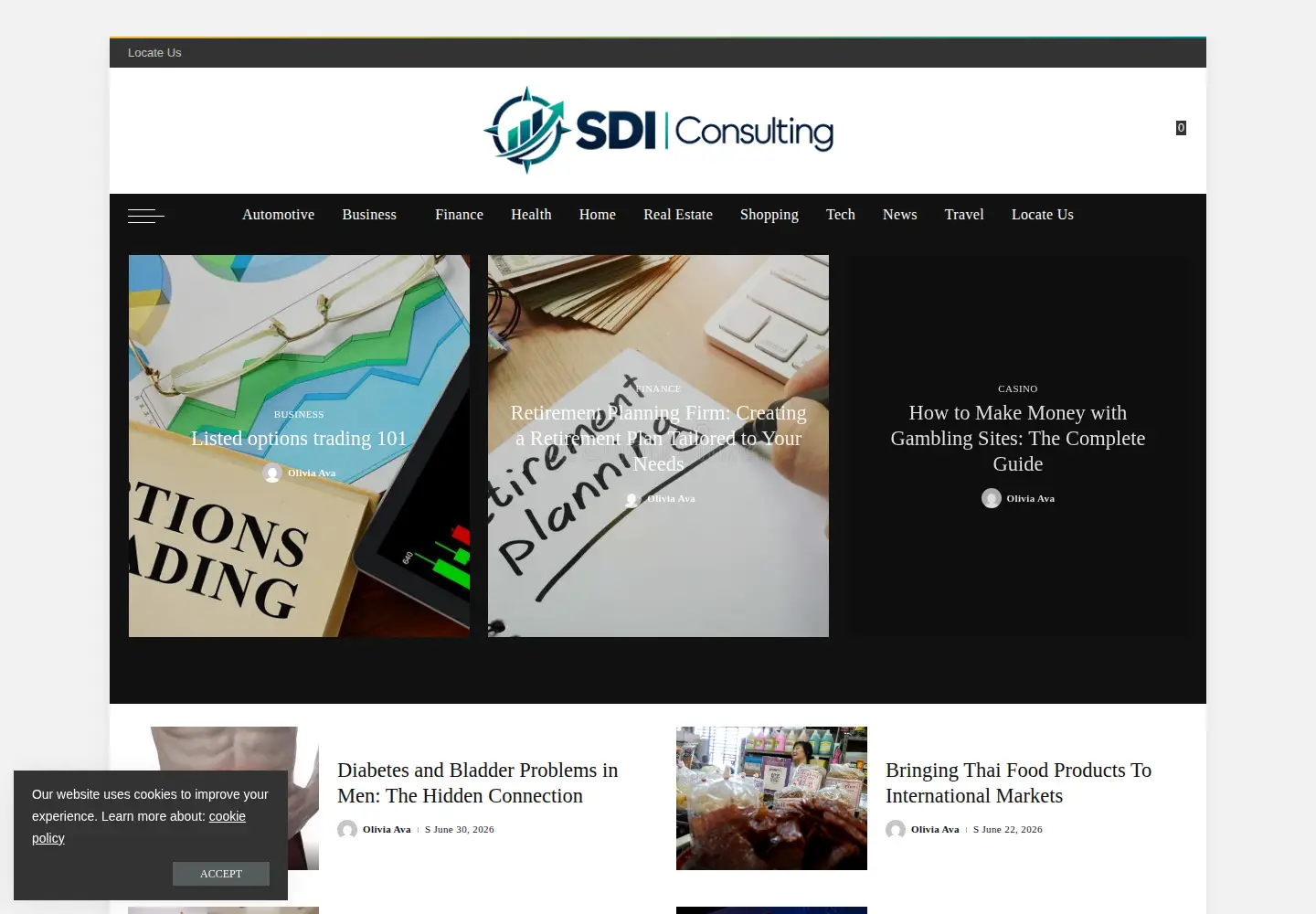 Screenshot of sdi-consulting.com