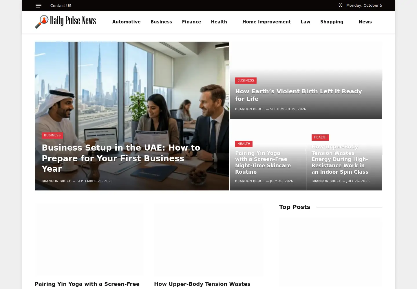 Screenshot of dailypulsenews.com