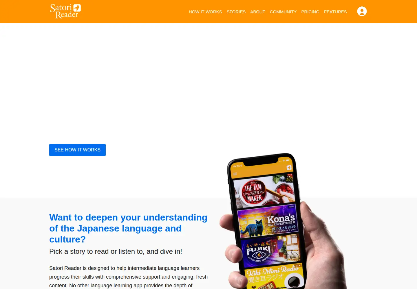 Captured homepage of satorireader.com in the current scan