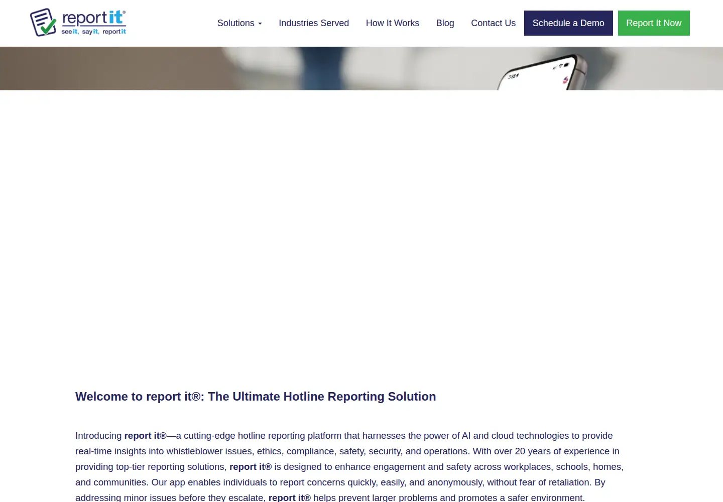 Screenshot of reportit.com