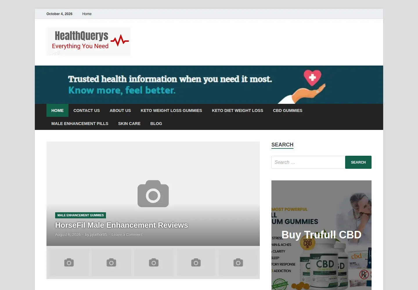 Captured homepage of healthquerys.com in the current scan