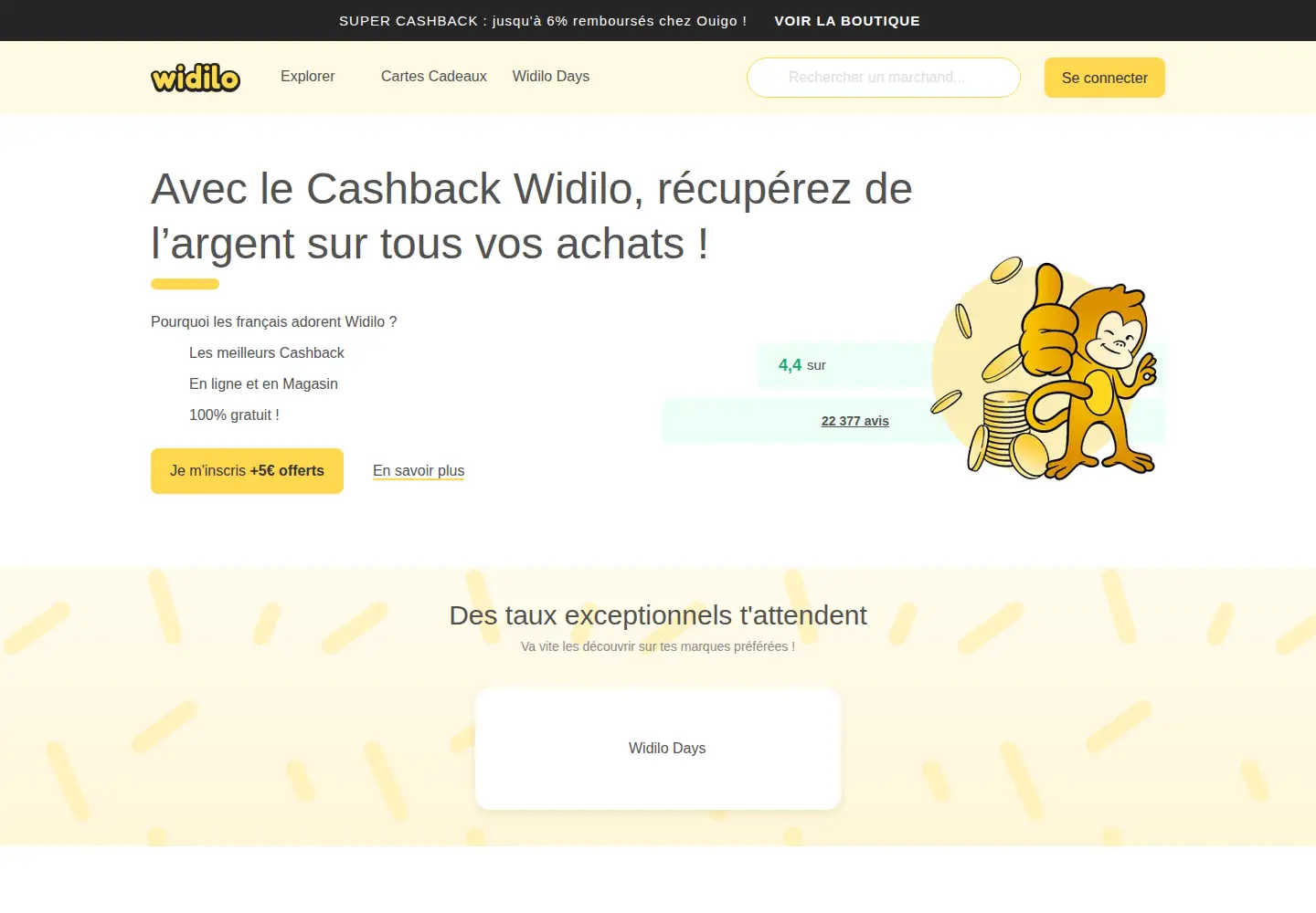 Captured homepage of widilo.fr in the current scan