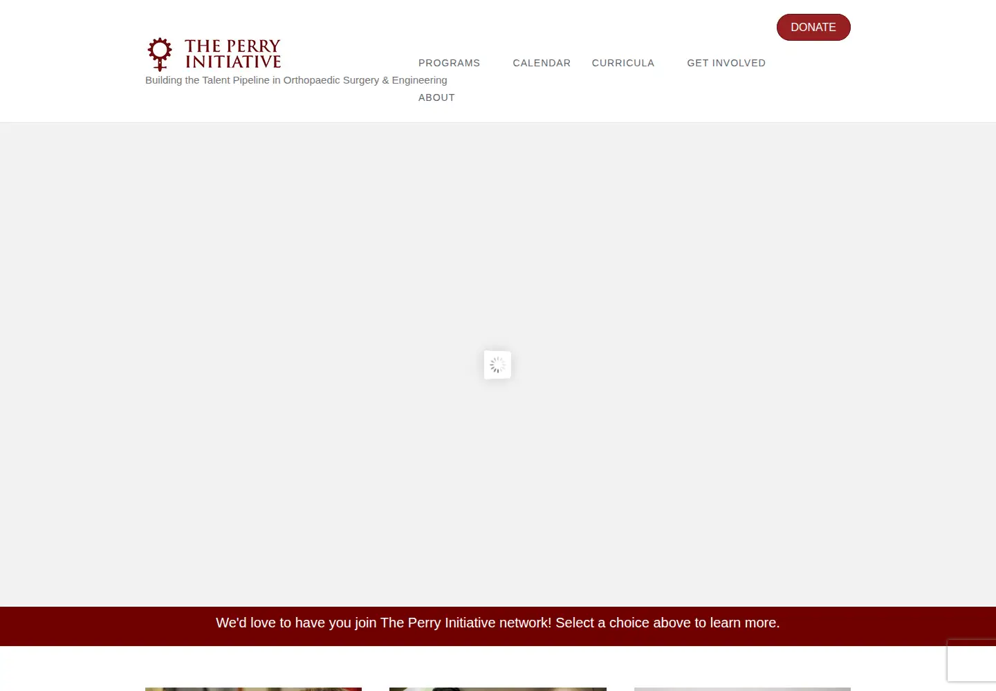 Screenshot of perryinitiative.org