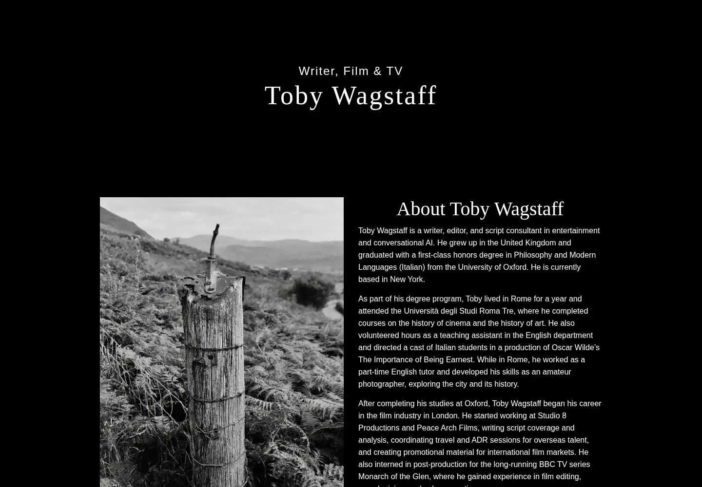 Captured homepage of tobywagstaff.com in the current scan