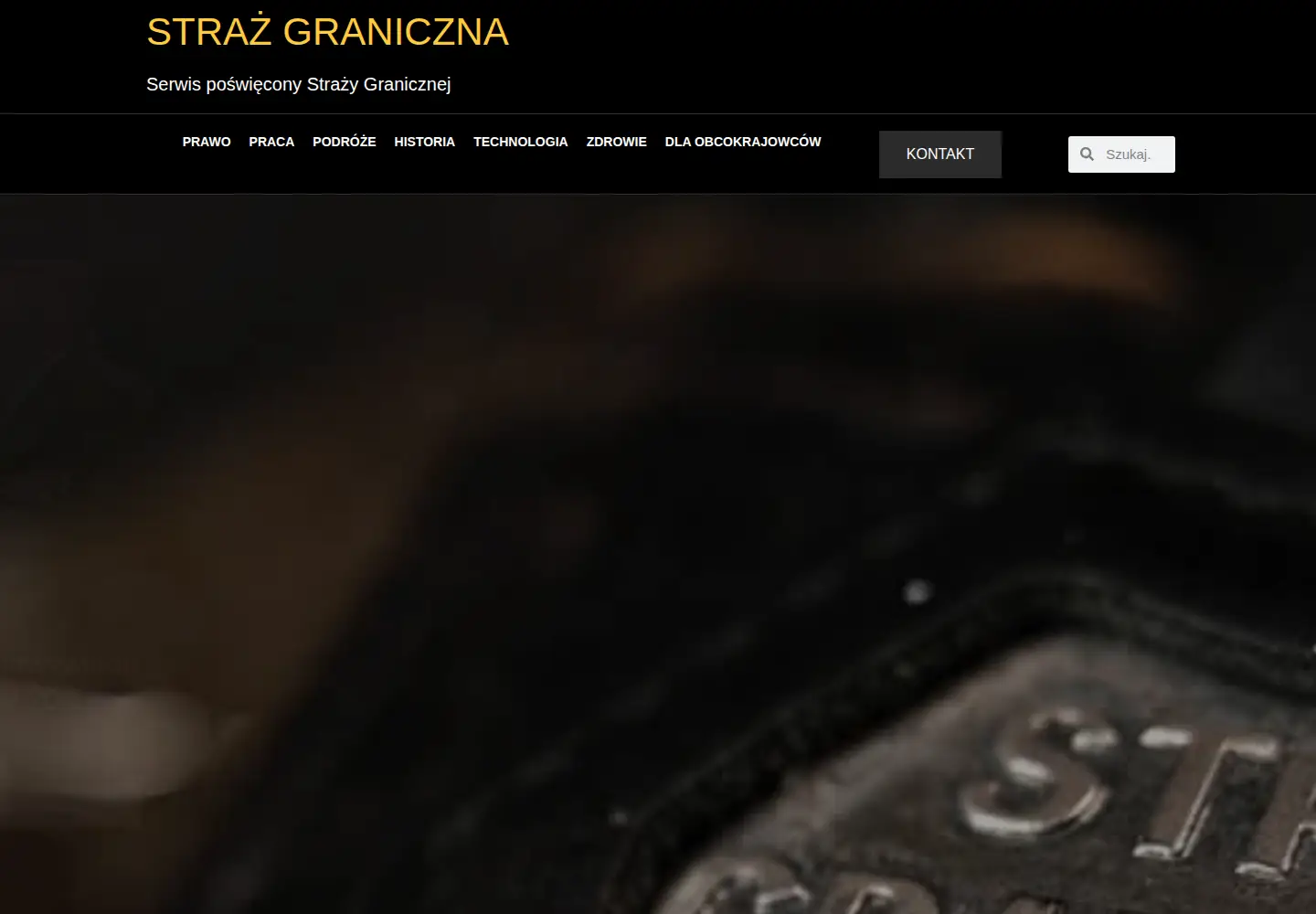 Captured homepage of forumsg.pl in the current scan