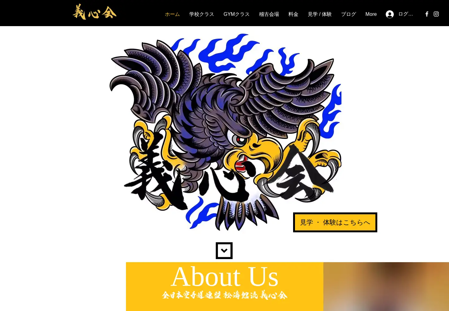 Screenshot of gishinkai.com
