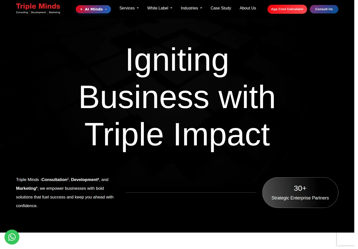Captured homepage of tripleminds.co in the current scan