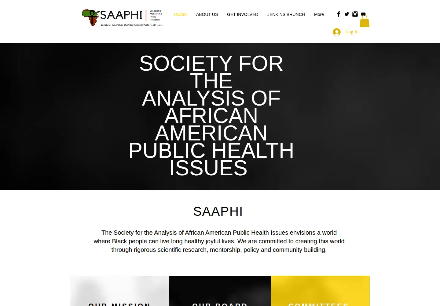 Screenshot of saaphi.org