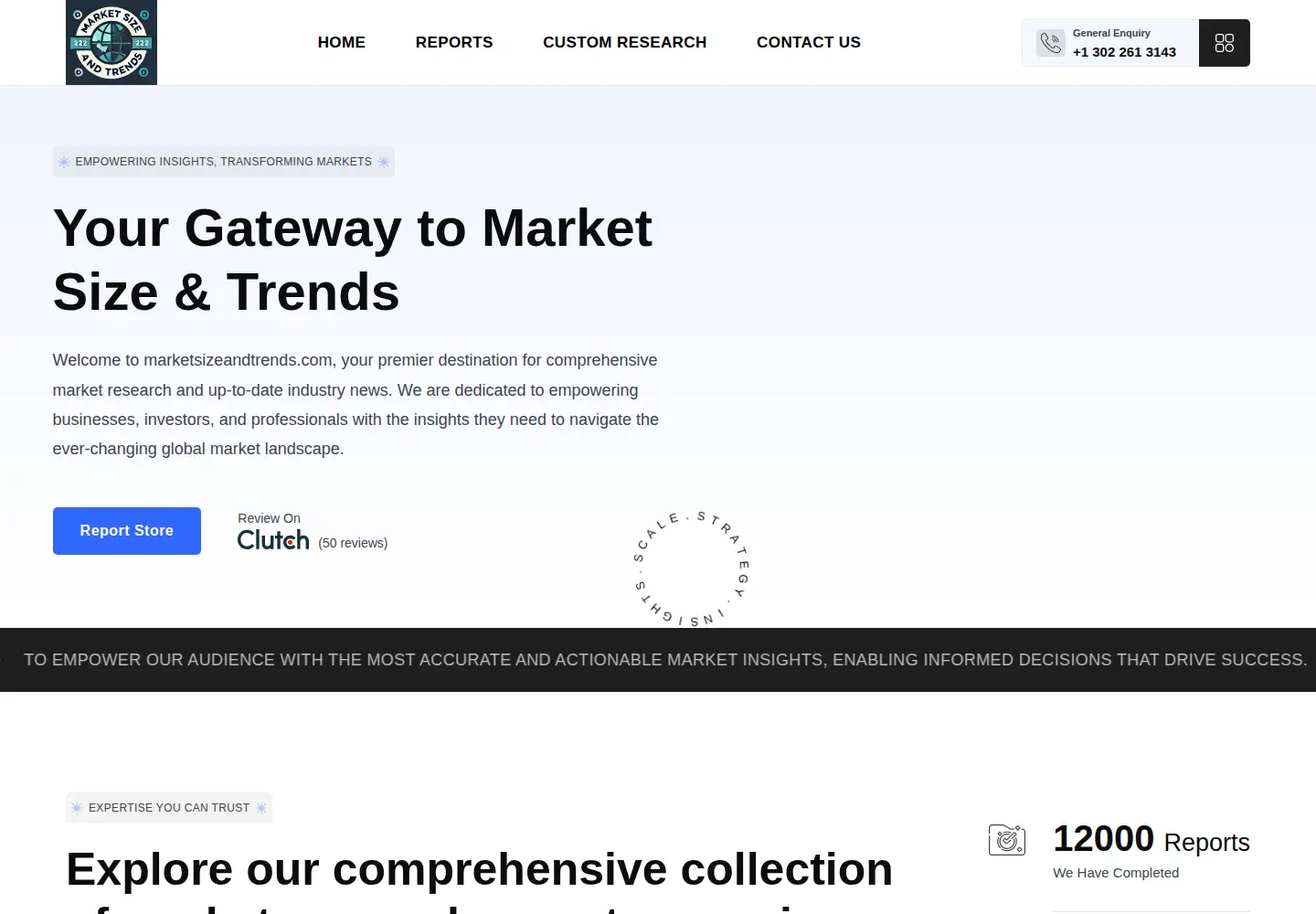 Screenshot of marketsizeandtrends.com
