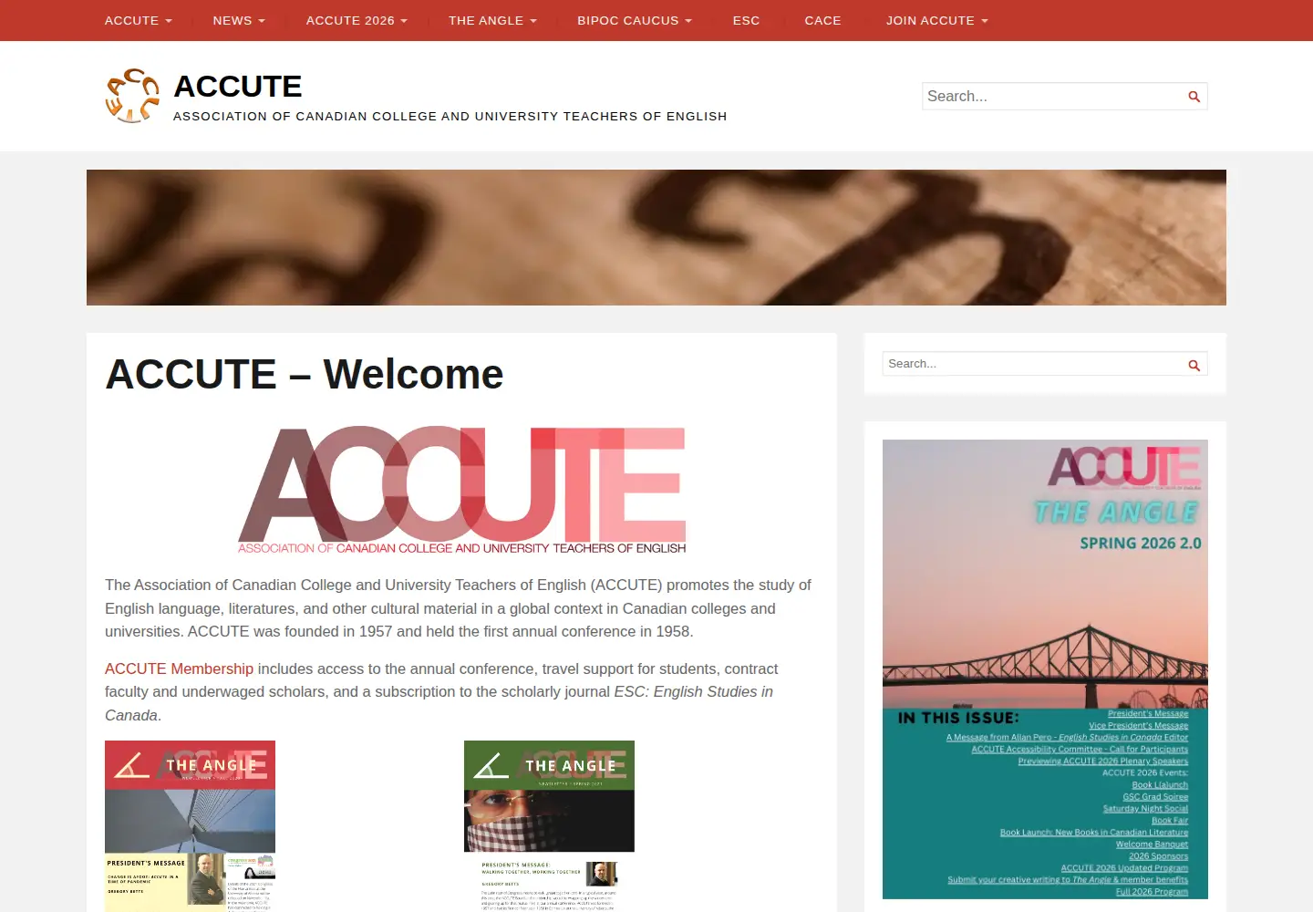 Captured homepage of accute.ca in the current scan