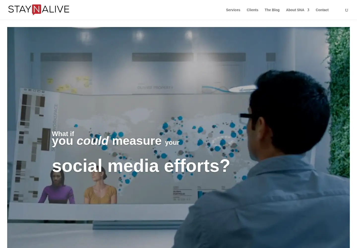 Captured homepage of staynalive.com in the current scan