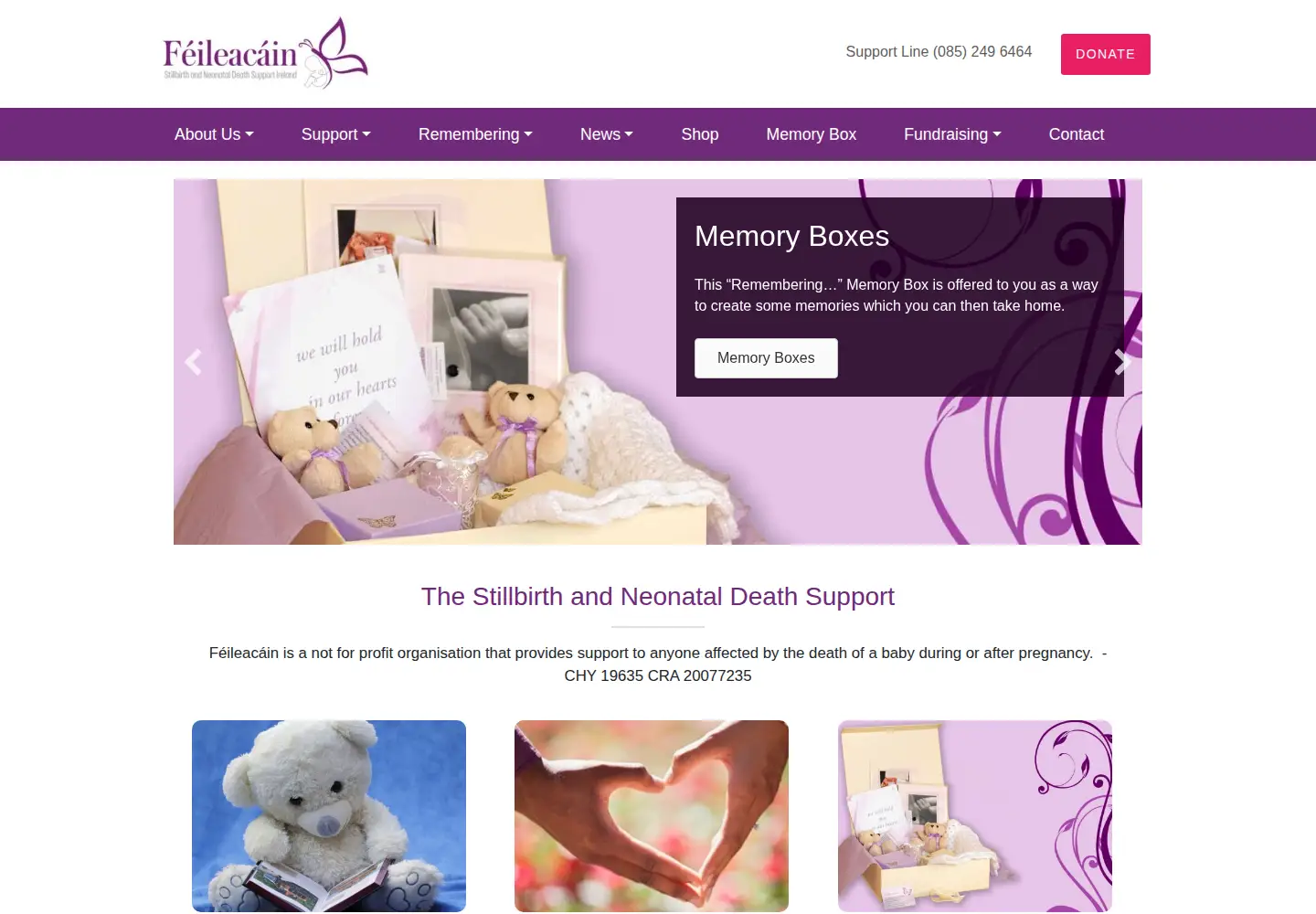Screenshot of feileacain.ie