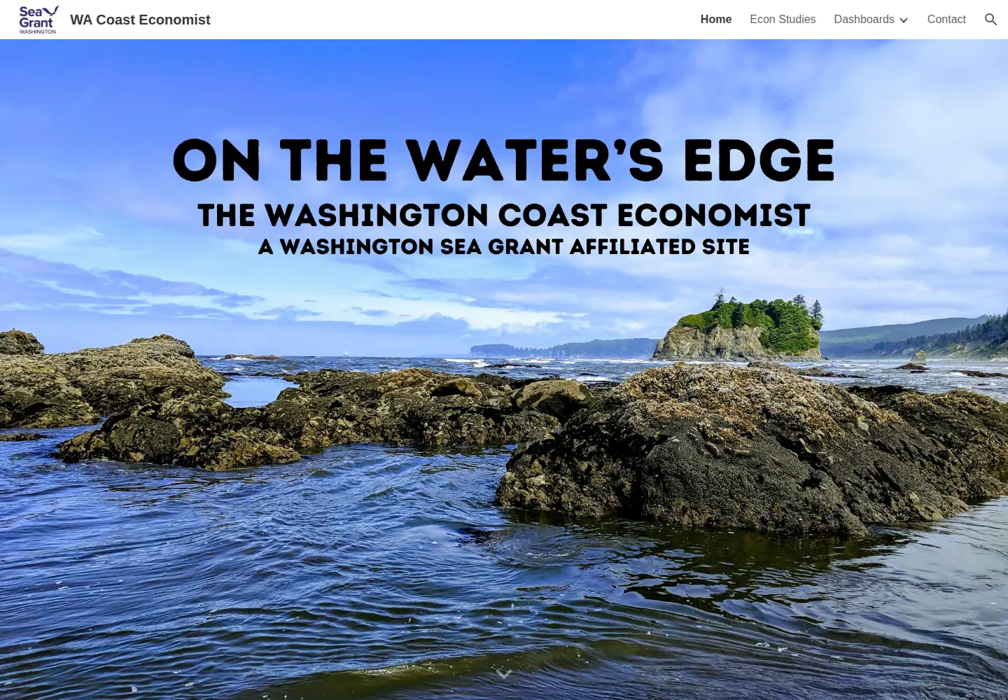 Screenshot of wacoasteconomist.com