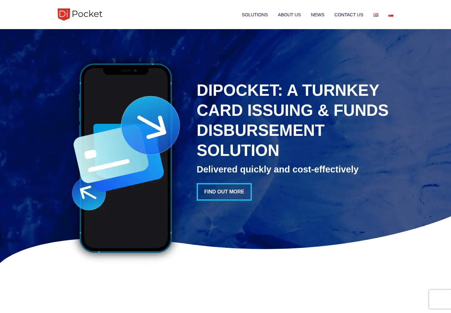 Captured homepage of dipocket.org in the current scan