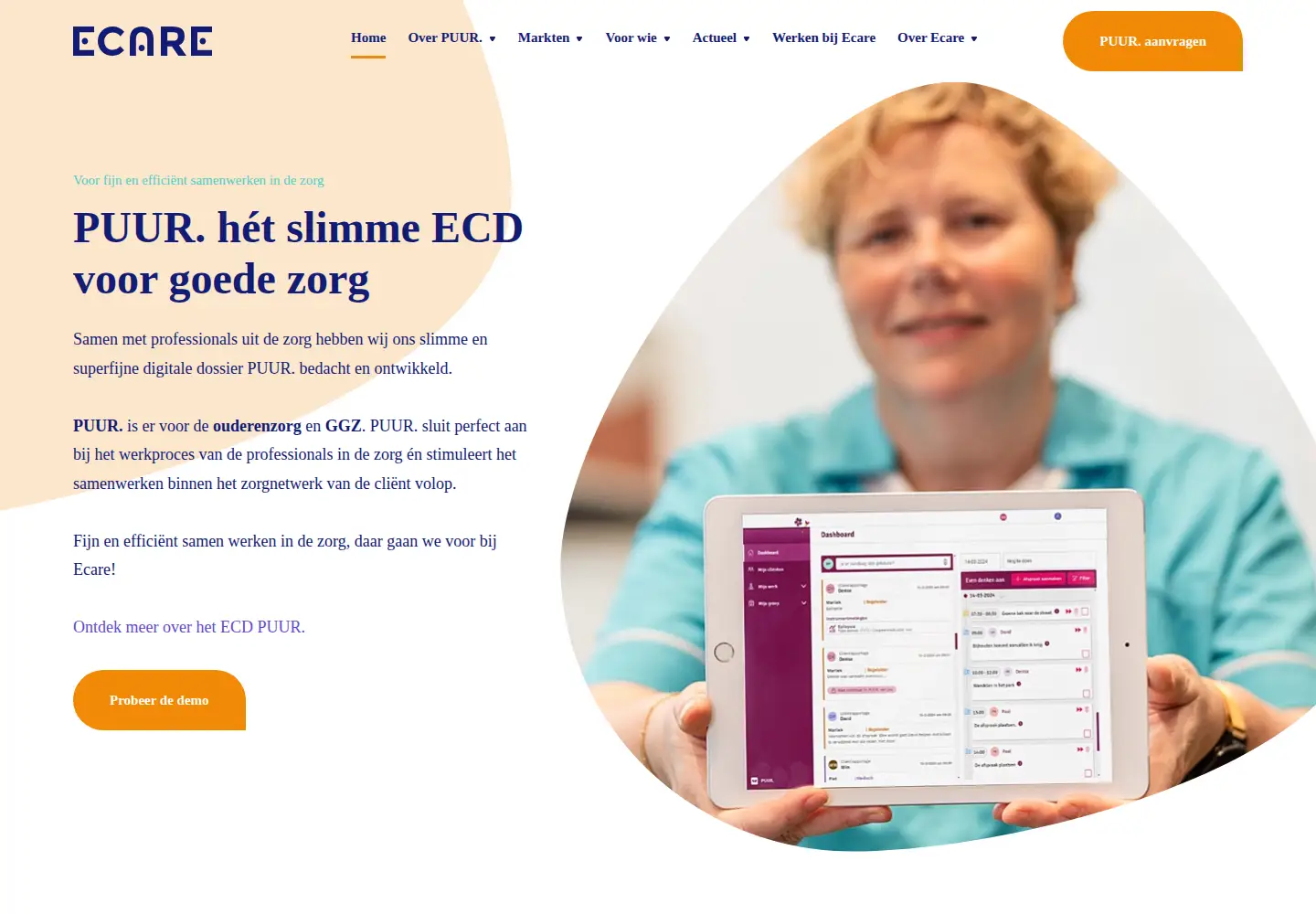 Captured homepage of ecare.nl in the current scan